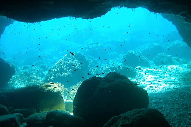 4h / 6h / 8h Elaphite Islands Tour with 7.5m/24FT SunDeck Boat - Green Caves after Blue Cave: a slower pace that still keeps momentum (30 minutes)