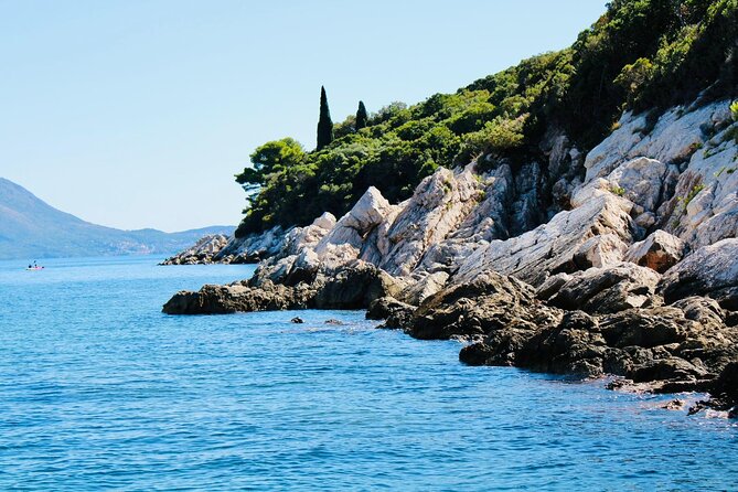 50-minute Panoramic Cruise of Dubrovnik with English Audio Guide - Lokrum Island Nature Reserve From Offshore Caves and Cliffs