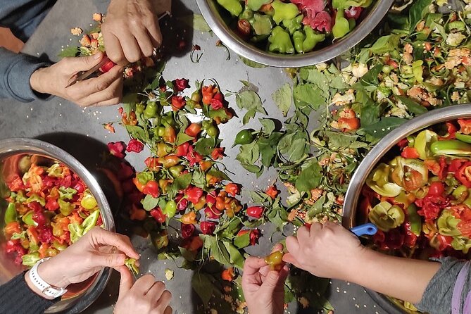 Authentic Garden to Table Cooking Class in Dubrovnik Countryside - Dietary needs, language, and comfort tips that actually help