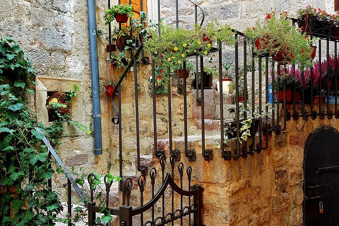 Best of Montenegro and Kotor private tour - The Bay of Kotor Drive: Scenic Views Without the Crowd Chaos