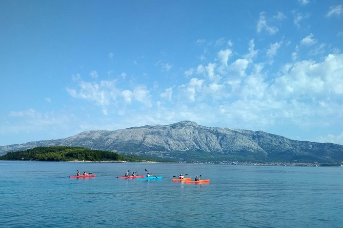 Bits of History - Half day kayak Tour with Wine delight - The kayak pace: moderate fitness, patient instruction, real sea conditions