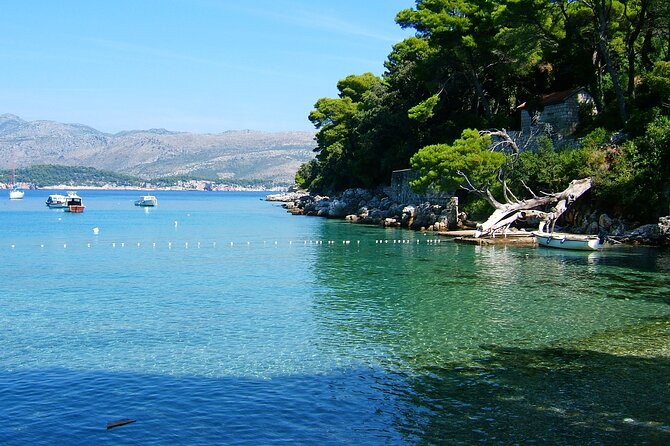 Blue Cave and caves Discovery Dubrovnik - Group Tour by Boat - Morning vs Afternoon: Which One Fits Your Pace