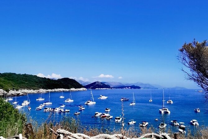 Blue & Green Cave Experience: Drinks, Snorkeling & Šunj Beach - Meeting at Lapadska obala and what to expect on arrival