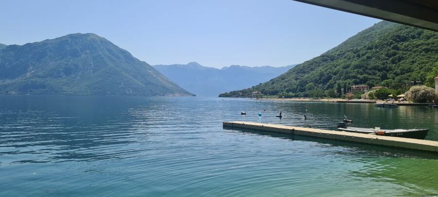 Blue Sea & Black Mountains - Montenegro - Kotor Old Town: history, cats, and the best use of your 1.5 hours