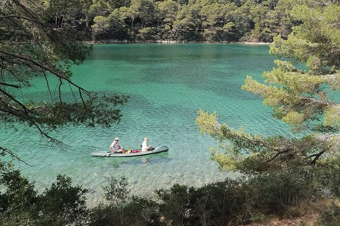 Boat Tour to Mljet National Park & 3 Islands - Key highlights worth planning around