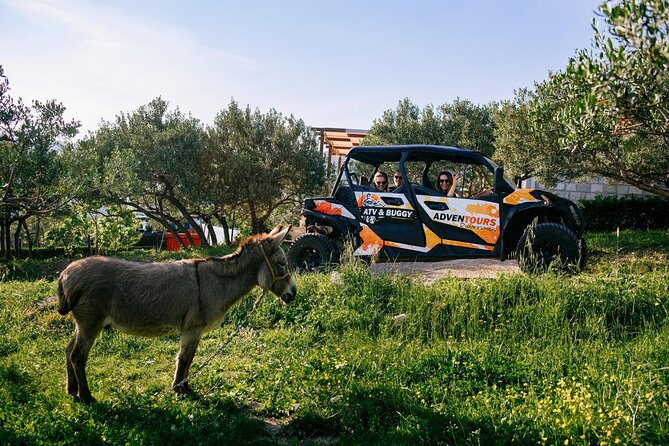 Buggy Dubrovnik Safari Tour (Private) - Fort Imperial: Napoleon-era fortifications and later wartime relevance