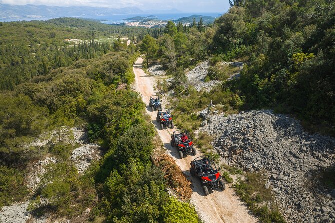Buggy Safari With Wine Tasting - Key Highlights You Should Know