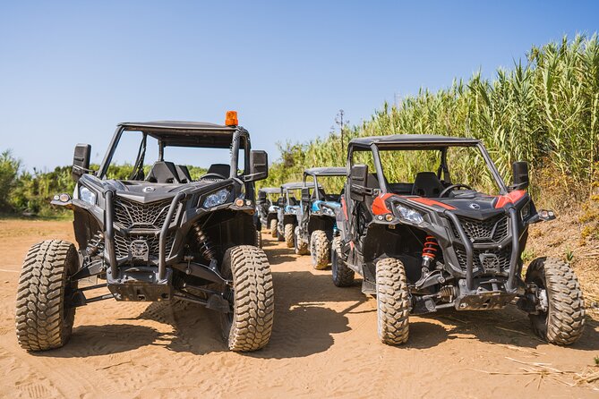 Buggy Safari With Wine Tasting - Korčula Town Viewpoint Stop: Where the Island Makes Sense
