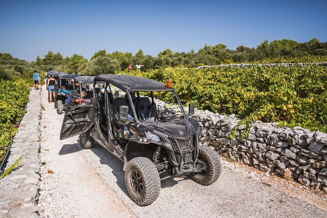 Buggy Safari With Wine Tasting - The Buggy Ride: Views, Wind, and Real Off-Road Tracks