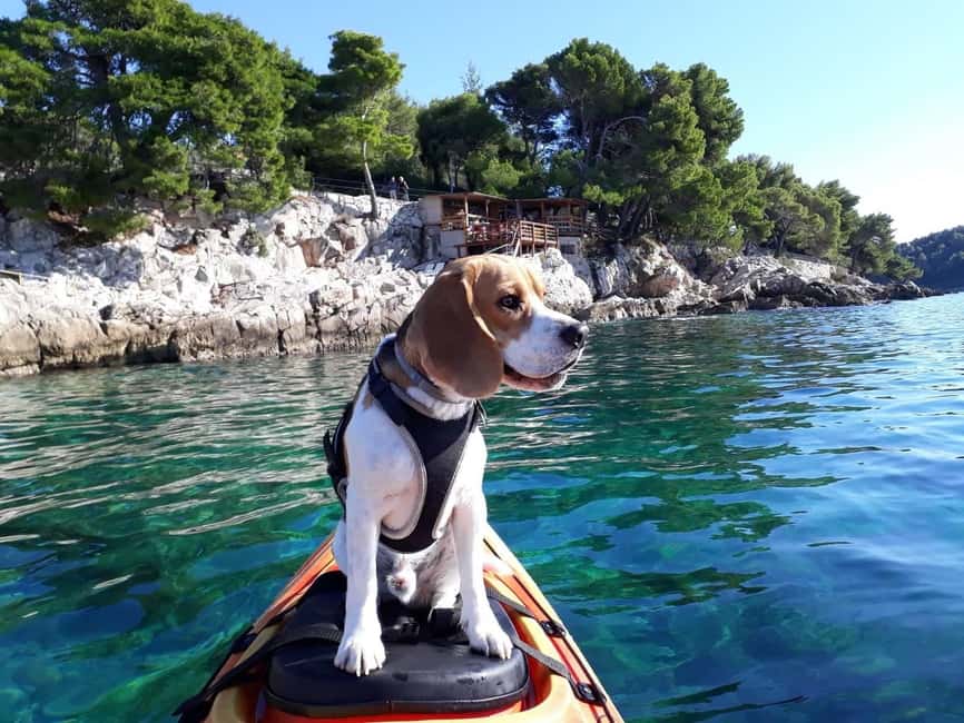 Cavtat: 'Pomalo' Guided Sea Kayaking Tour - The 3-Hour Paddling Plan: Coastline Gliding, Swim Break, and Head Back