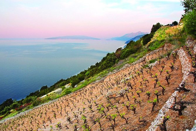 Classic Tour with Wine Tastings from Dubrovnik - From Dubrovnik to Peljesac: the ride is part of the experience