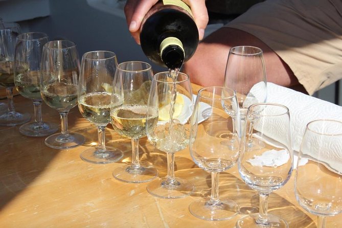Classic Tour with Wine Tastings from Dubrovnik - Three winery stops: what you taste and how you learn it
