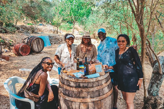 Coastal Vineyards: A Dream Wine Tour to Elaphiti Islands - Price and Value: What $419.63 Really Covers