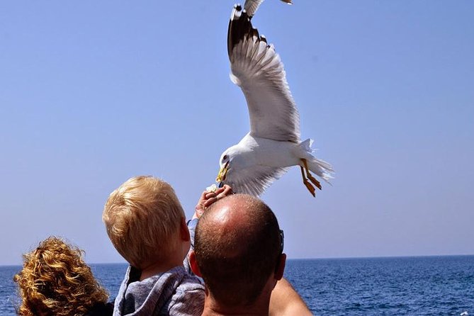 Day Cruise in the Elafiti Islands from Dubrovnik - Unlimited drinks and lunch on board, and why it changes the feel of the day