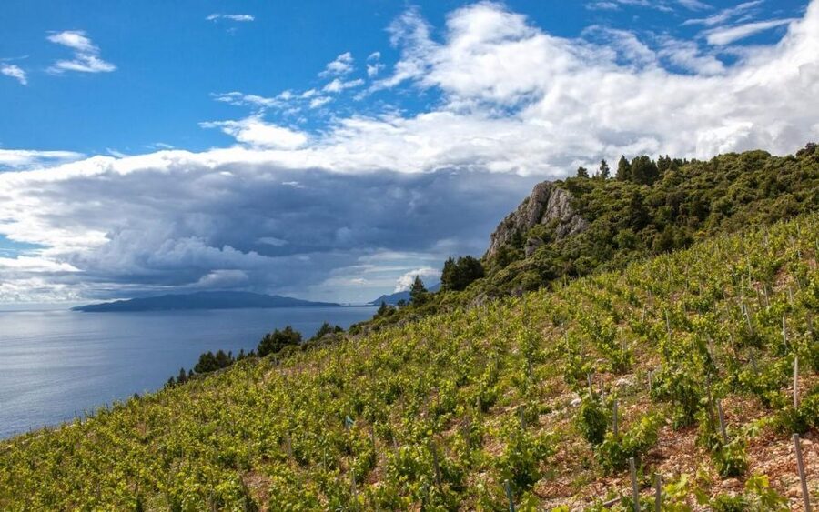 Day Tour from Dubrovnik - Korčula and Pelješac Wine Tasting - Korčula Island by boat: a short ride, big scenery payoff
