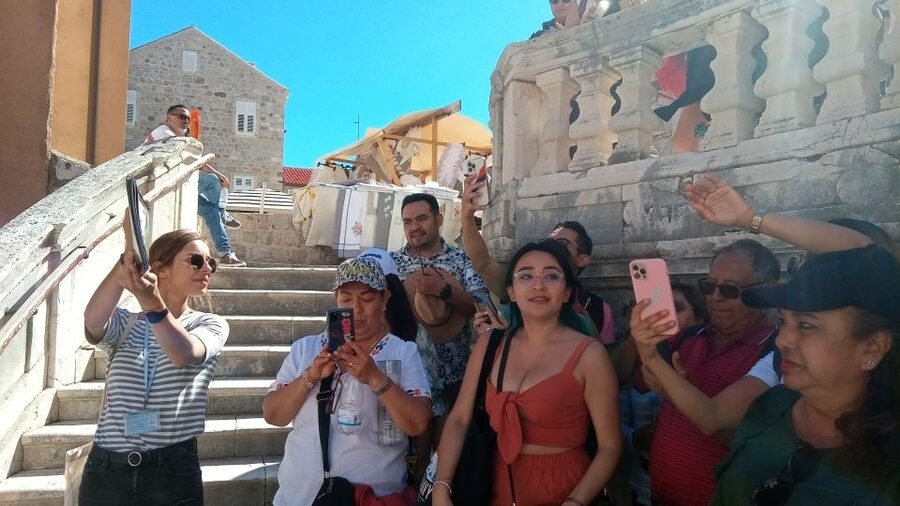 Dubrovnik: 1.5-Hour Guided Old Town Walking Tour - Rector’s Palace and Luza square: the political heart of the walk