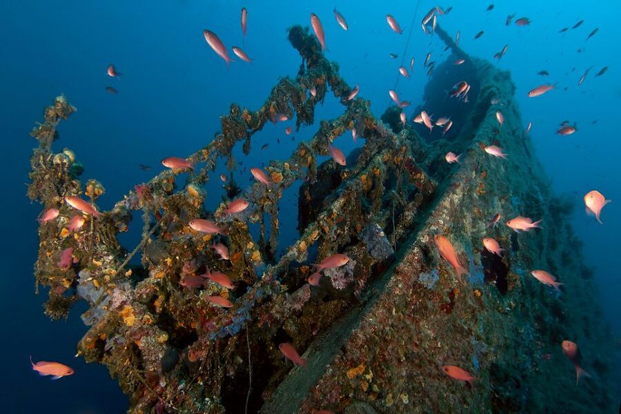 Dubrovnik: 1-Day Diving Package - Key things to know before you go