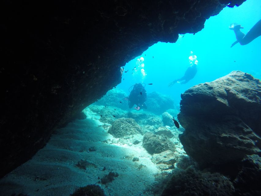 Dubrovnik: 1-Day Diving Package - Who should book this Dubrovnik scuba package