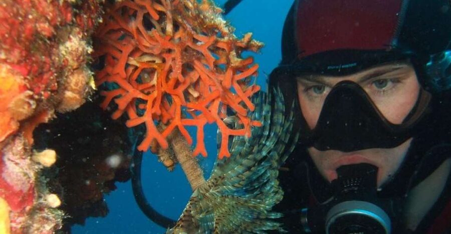 Dubrovnik: 1-Day Diving Package - Why Dubrovnik’s underwater world feels different