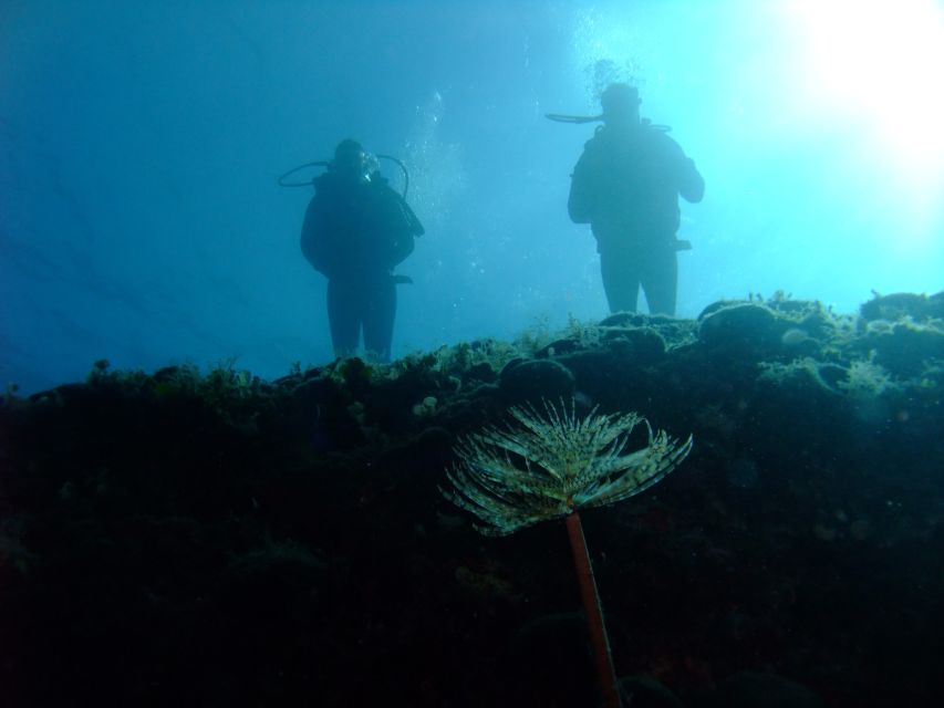 Dubrovnik: 1-Day Diving Package - Shore options near Dubrovnik: Mala Afrika, Marova špilja, Pipa Rock