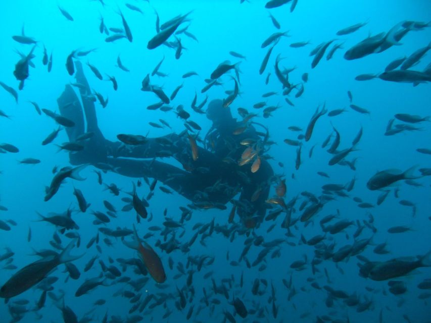Dubrovnik: 1-Day Diving Package - The full-day schedule, from check-in to 16:00 return