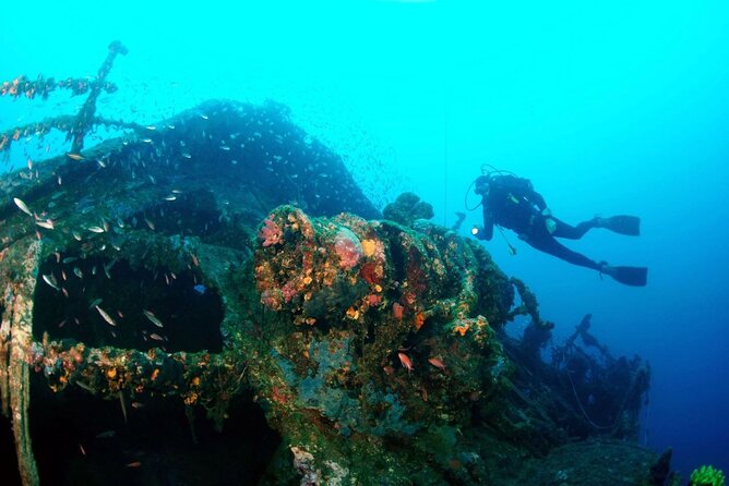 Dubrovnik 1 Dive for Certified Divers - How your certification and the weather pick the underwater site