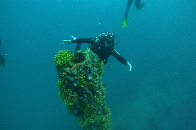 Dubrovnik 1 Dive for Certified Divers - The 45-minute tank session and the safety stop that feels less stressful