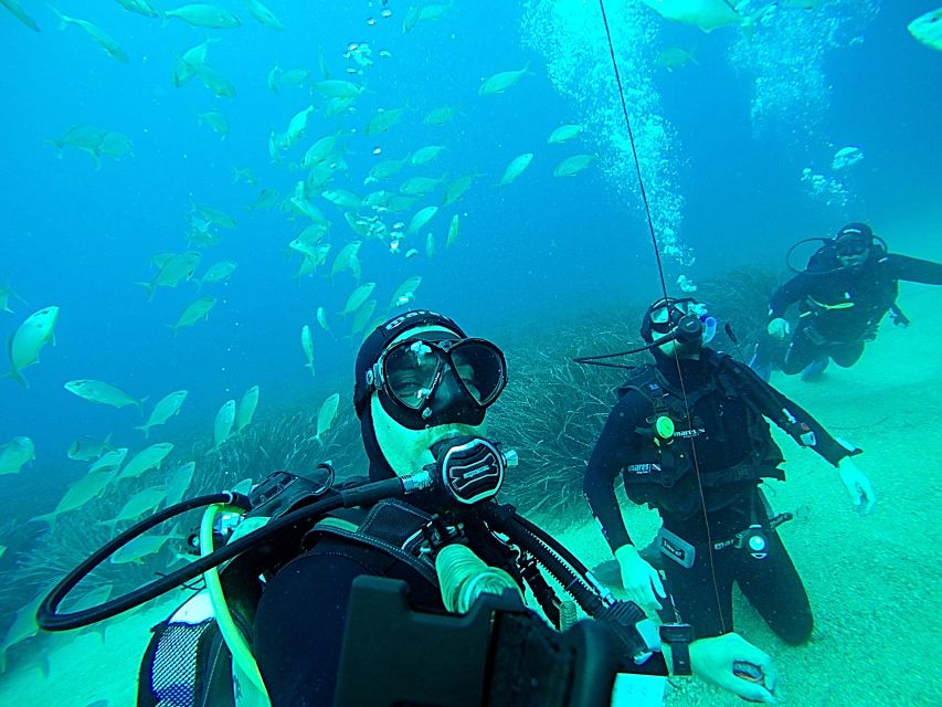 Dubrovnik 2-Hour Uncertified Divers Introductory Dive - Small Group Energy and Instructor Languages