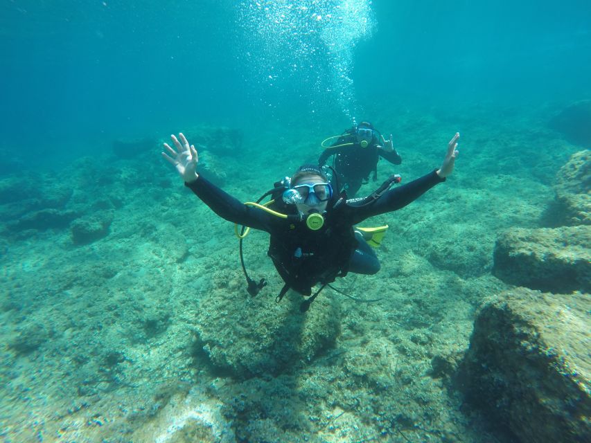 Dubrovnik 2-Hour Uncertified Divers Introductory Dive - Where to Meet at Blue Planet in Dubrovnik Palace