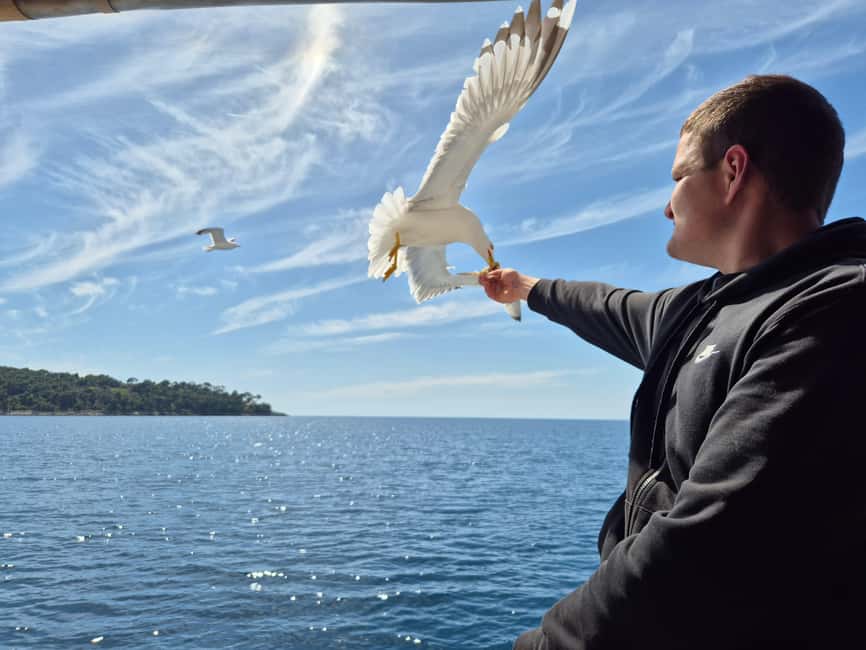 Dubrovnik: 3 Island Boat Tour with Lunch and Guide - Lopud Island: the long swim break plus wine and easy island wandering