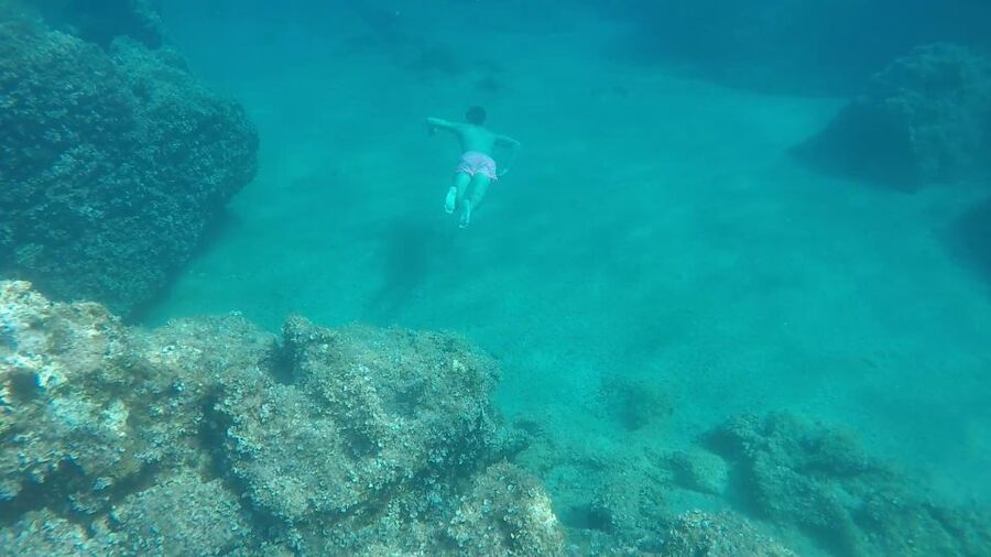 Dubrovnik: All-inclusive Islands and Caves Private Boat Tour - Timing and duration: choosing 4 hours vs 6 to 8
