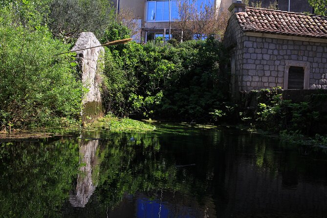 Dubrovnik: Best views Sightseeing Tour - Stop 2: Ombla River Stop for a Softer, Quieter Moment