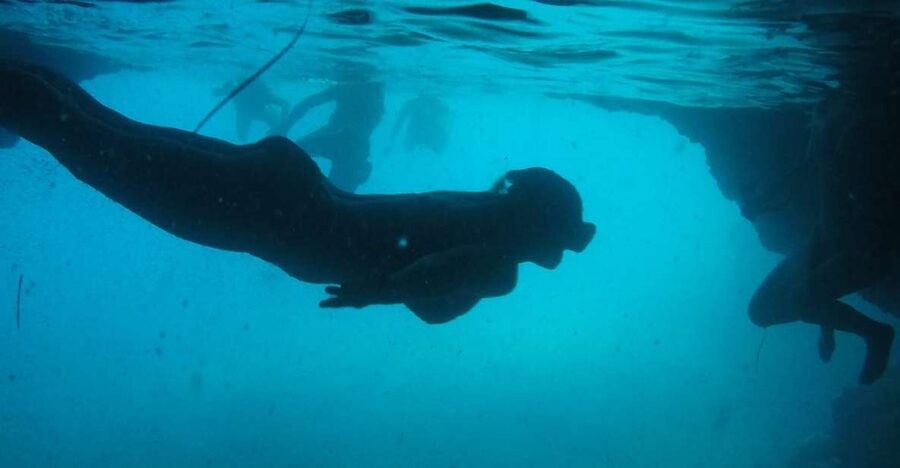 Dubrovnik: Blue Cave & Sunj Beach Boat Tour with Drinks - Sunj Beach Stop: Your Real Time to Relax and Reset