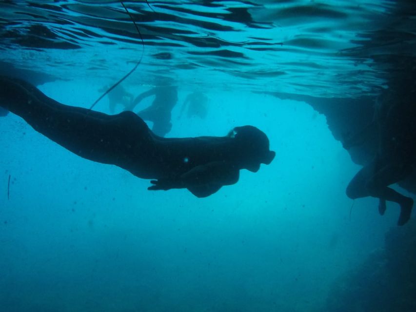 Dubrovnik: Blue Cave & Sunj Beach Boat Tour with Drinks - Speedboat Day Plan From Dubrovnik: What Actually Happens