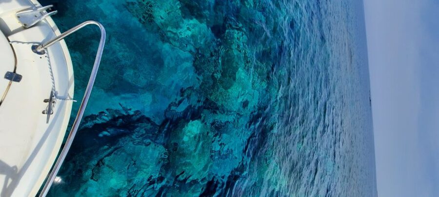 Dubrovnik: Blue Cave Tour by Speedboat - The 4-hour value: why this route feels efficient (not rushed)