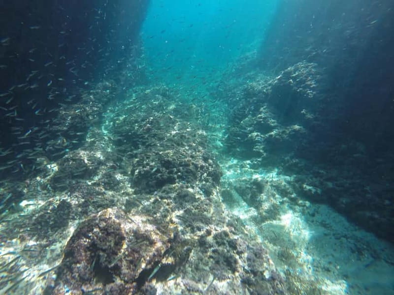 Dubrovnik: Blue Cave Tour by Speedboat with Small Group - What you get included: life vests, snorkeling gear, and drinks