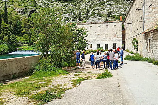 Dubrovnik City Tour: Panorama Drive & Sightseeing Walk - Where to meet: Amerling Fountain near Pile Gate or the cruise-port bus station