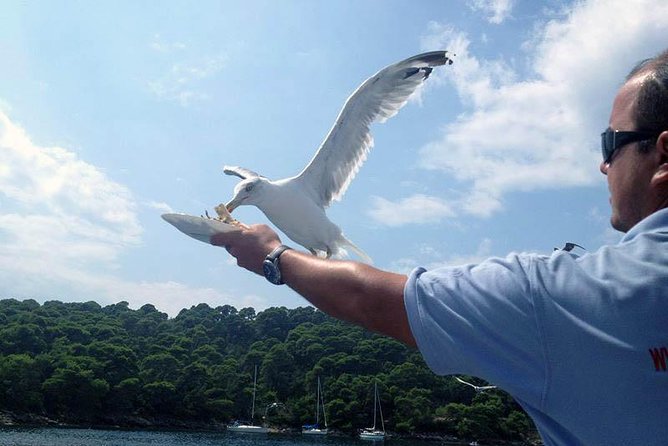 Dubrovnik Elafiti Islands Cruise with Lunch, Drinks and Pickup - What to Pack for Koločep, Lopud, and Šipan