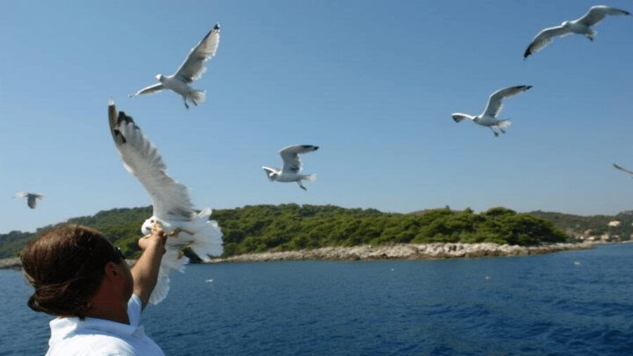 Dubrovnik: Elaphiti Islands Boat Cruise with Lunch & Drinks - On-Board Lunch and Drinks, Simple Food Done Well