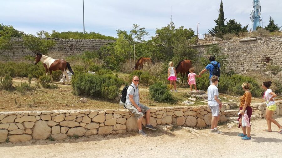 Dubrovnik: Game of Thrones Locations Driving Tour - Meeting at Pile Gate or Port Gruz, and how the van changes the day
