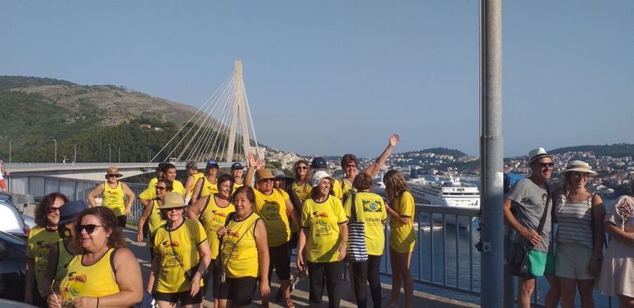 Dubrovnik: Guided Sightseeing Tour by Minivan - Mt. Srdj Summit Area: Cable Car Station Views Without the Cable Car Line