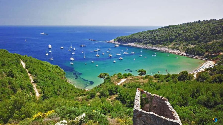 Dubrovnik: Half-Day Boat Tour to Elaphite Islands 4h - Price and value: what $306 for up to 6 actually buys you