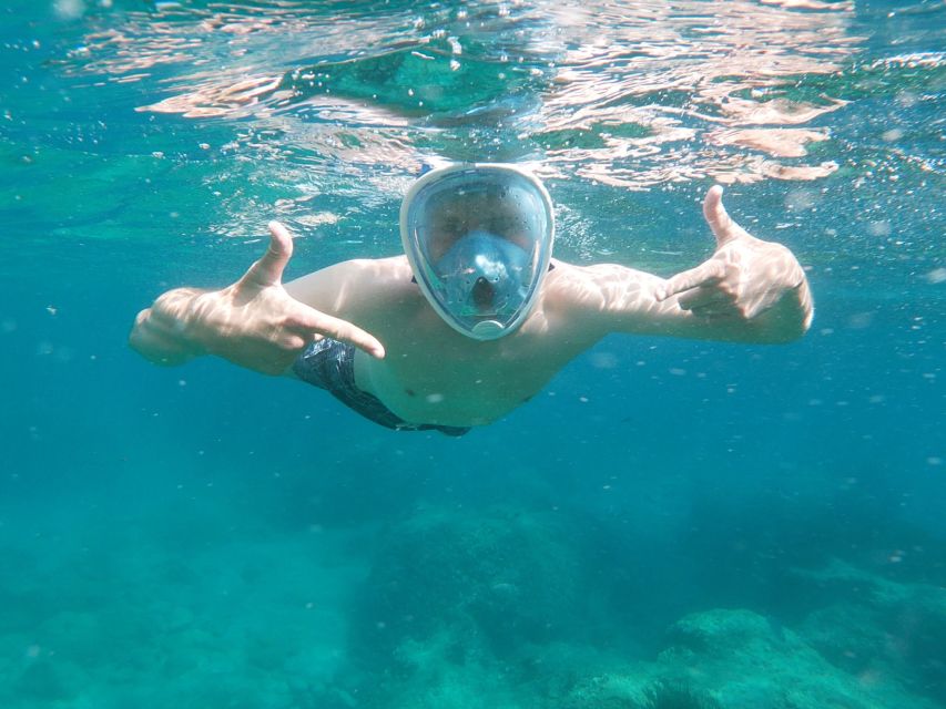 Dubrovnik: Half-Day Private Boat Trip to Elafiti Islands - Why this private Elafiti Islands boat time feels different from group tours