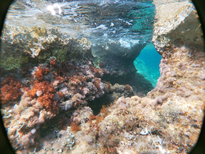 Dubrovnik: Half-Day Private Boat Trip to Elafiti Islands - Kolocep Island Blue Cave: the main event and how to make it work