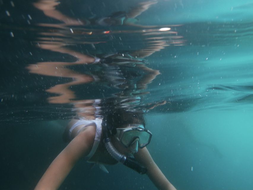 Dubrovnik: Half-Day Private Boat Trip to Elafiti Islands - Hidden spots beyond the usual itinerary: what private time gives you