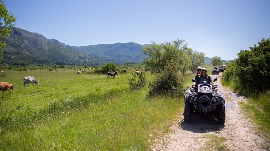Dubrovnik: Kojan Koral ATV Quad Safari with transport - Konavle Valley guidance: what the instructor does well