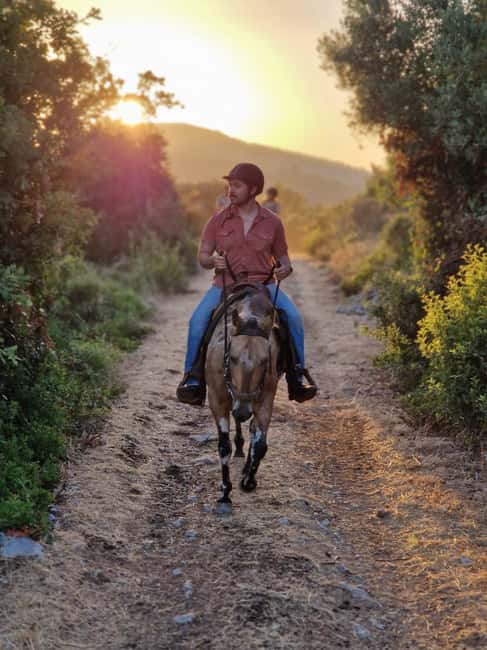 Dubrovnik Kojan Koral: Horseback Riding - Key Things You Should Know Before You Go