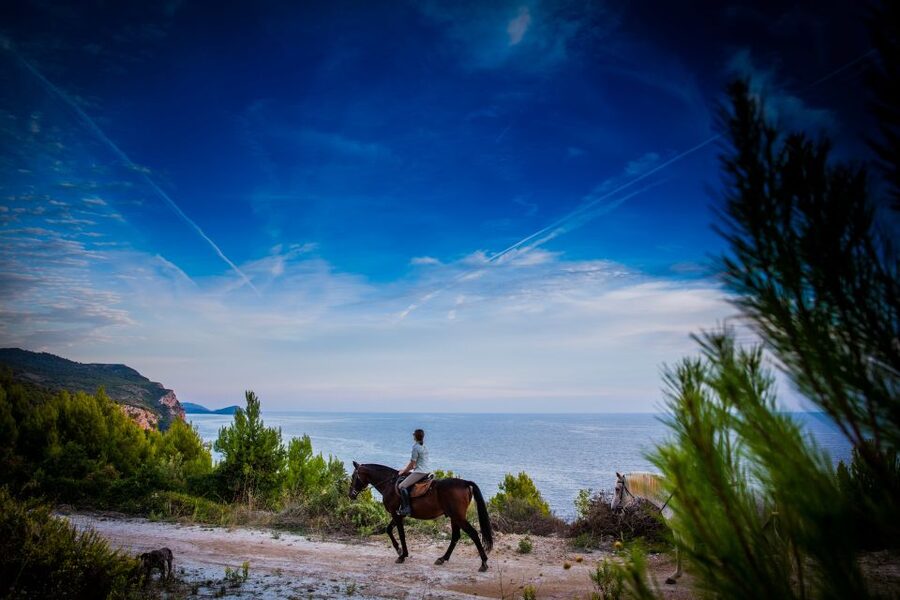 Dubrovnik Kojan Koral: Horseback Riding - Konavle By Saddle: What Makes This 4-Hour Ride Special