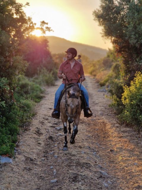 Dubrovnik Kojan Koral: Horseback Riding - Meet Your Guide and Your Horse, Then Get Safety First