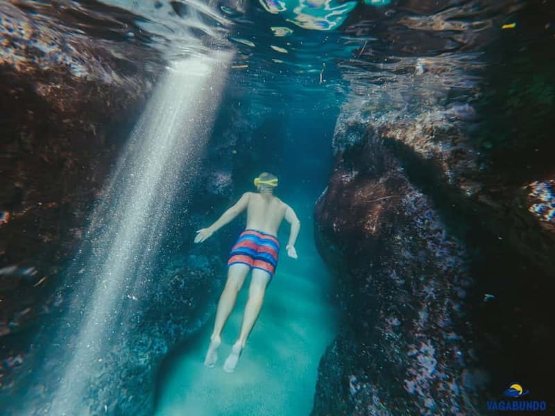 Dubrovnik: Morning Blue Cave speedboat tour with drinks - Blue Cave on Koločep: the light effect, the easy entrance, the snorkel